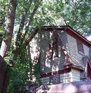 4200156_0002 (2).jpg